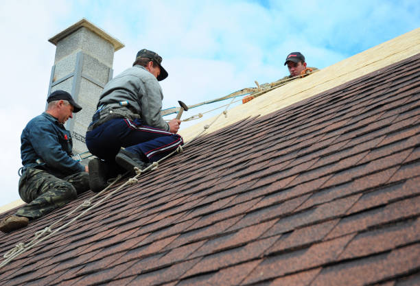 Best Roof Replacement Cost  in Bellevue, WA